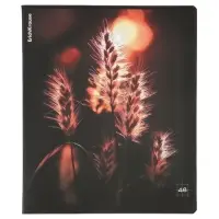 Тетрадь 48 листов в клетку ErichKrause Macro Nature, МИКС