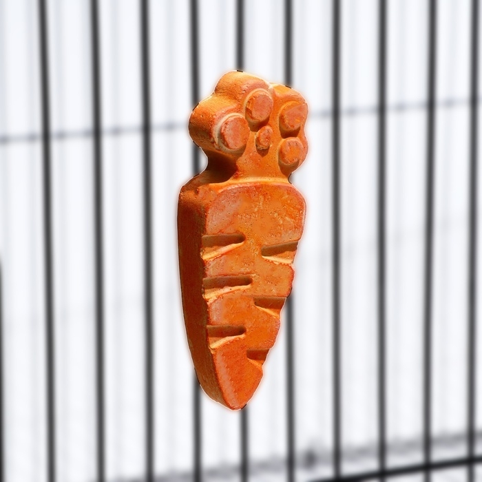 Минеральный камень Минеральный камень "Пижон" для грызунов, морковка, 35 г