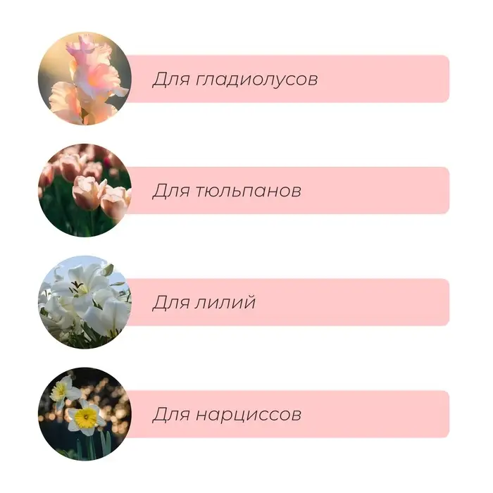 Корзина для посадки луковичных растений, круглая, d=30 см, h=8 см, чёрная