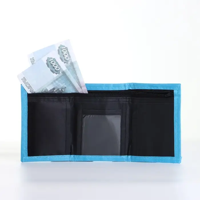 Кошелёк детский &laquo;Динозавр&raquo; Выбражулька, на липучке, голубой