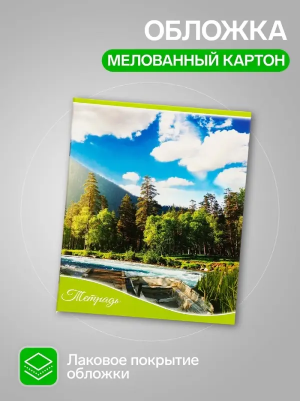 Комплект тетрадей 5 штук, 48 листов в клетку Calligrata &laquo;Времена года&raquo;, обложка мелованный картон, блок офсет