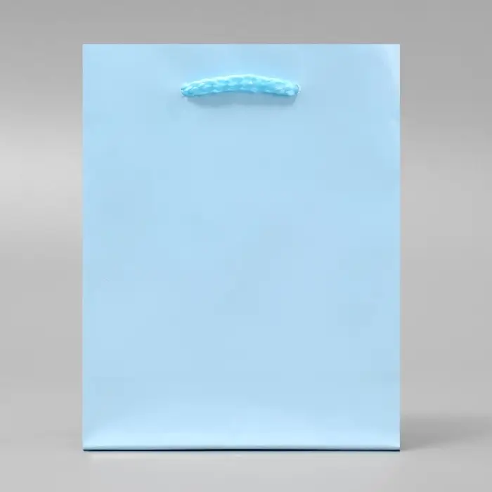Пакет подарочный ламинированный, упаковка, «Голубой», S 12 х 15 х 5.5 см
