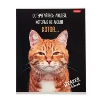 Тетрадь 40л А5ф кл 60-65г/кв.м на скобе Обл. мел.картон  серия -Кот говорит!- МИКС