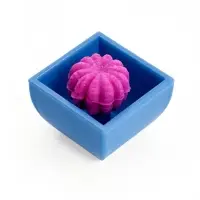 Растущие растения Funny toys, МИКС
