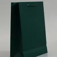 Пакет подарочный ламинированный, упаковка, &laquo;Изумрудный&raquo;, M 26&times;30&times;9 см