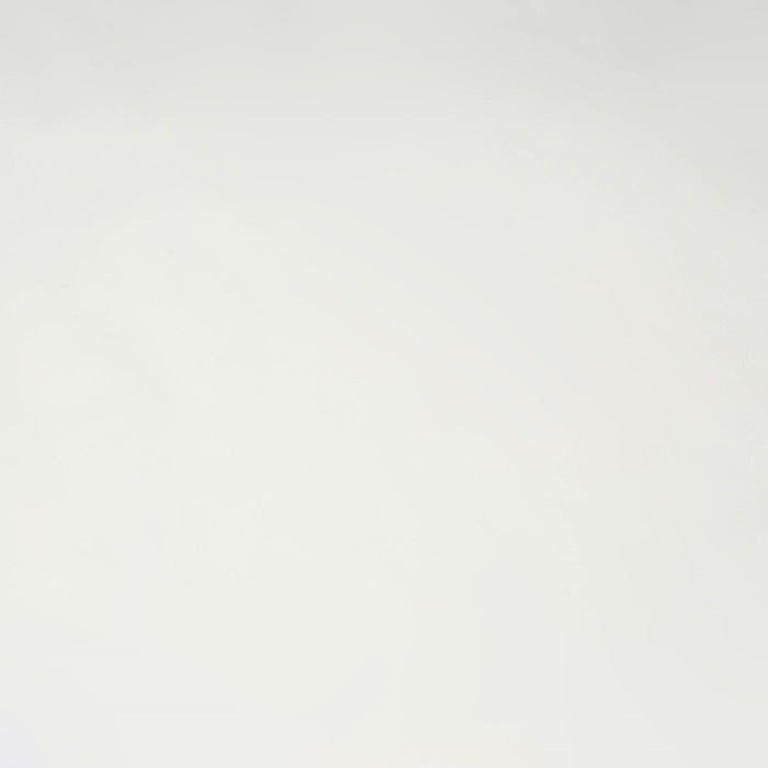 Плёнка для цветов упаковочная матовая «Белая», 0.5 x 8 м, 55мкм Плёнка для цветов упаковочная матовая «Белая», 0.5 x 8 м, 55мкм