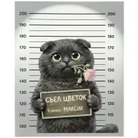 Тетрадь 48 листов в клетку Calligrata &laquo;Коты хулиганы&raquo;, блок №2, серые листы, обложка МИКС