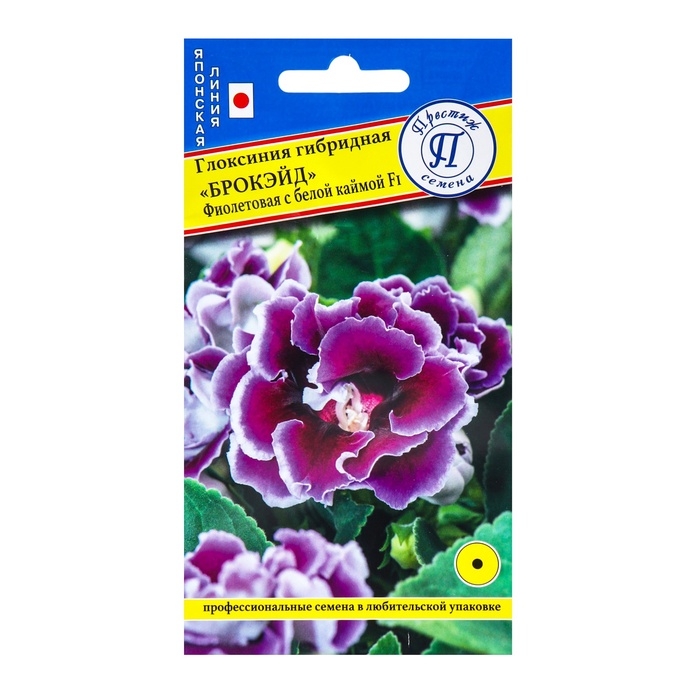 Семена цветов Глоксиния  Семена цветов Глоксиния "Брокэйд",Фиолетовая с каймой, F1, драже, 10шт