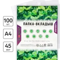 Файл - вкладыш Calligrata, А4, 45 мкм, глянцевый, вертикальный, 100 штук