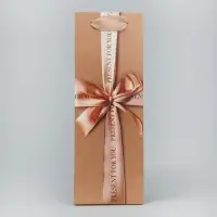 Пакет подарочный под бутылку, упаковка, «Present for you», 9 х 25 х 8.5 см