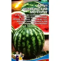 Семена Арбуз Челябинский метеорит (УД) Е/П , Е/П,  10 шт.