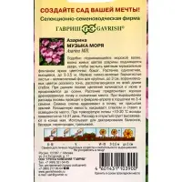 Семена цветов Азарина Музыка моря * 0,01 г