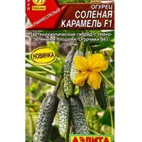 Семена Огурец Соленая карамель F1 Парт, Ц/П,10 шт.
