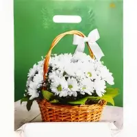 Пакет "Идеальный подарок", полиэтиленовый с вырубной ручкой, 31х40 см, 60 мкм Пакет "Идеальный подарок", полиэтиленовый с вырубной ручкой, 31х40 см, 60 мкм