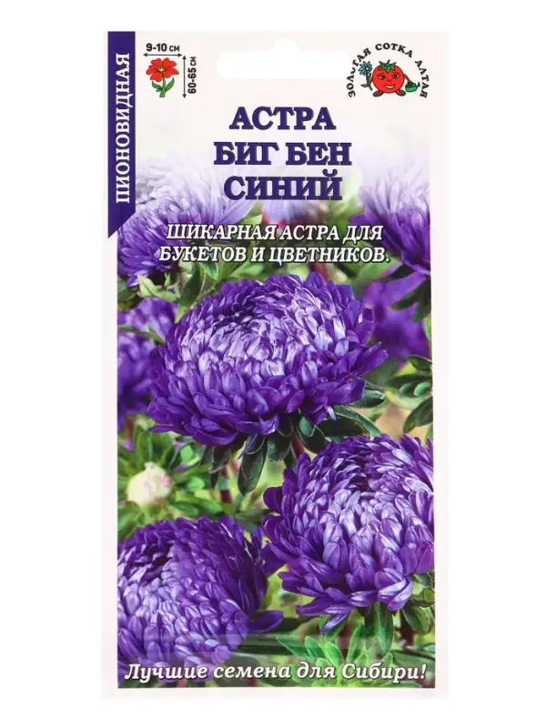 Семена Астра Биг Бен синий /Сотка/ 0,2г/ пион. 65см, d-10см/*1500 Семена Астра Биг Бен синий /Сотка/ 0,2г/ пион. 65см, d-10см/*1500