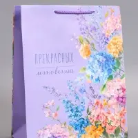 Пакет подарочный ламинированный &laquo;Прекрасных мгновений&raquo;, 26&times;12&times;32 см