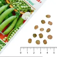 Семена Горох 1+1 &laquo;Альфа&raquo;, 25 г, &laquo;Гавриш&raquo;