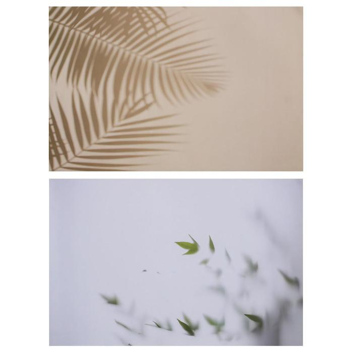 Фотофон двусторонний бумага 300 гр Фотофон двусторонний бумага 300 гр "Тень и листья" 57х87 см