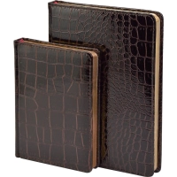 Ежедневник недатированный А6+ Caiman (коричневый)3-498 Д