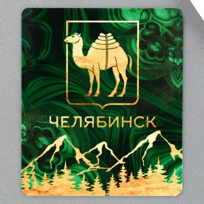Магнит виниловый &laquo;Челябинск&raquo;, 6&times;7 см