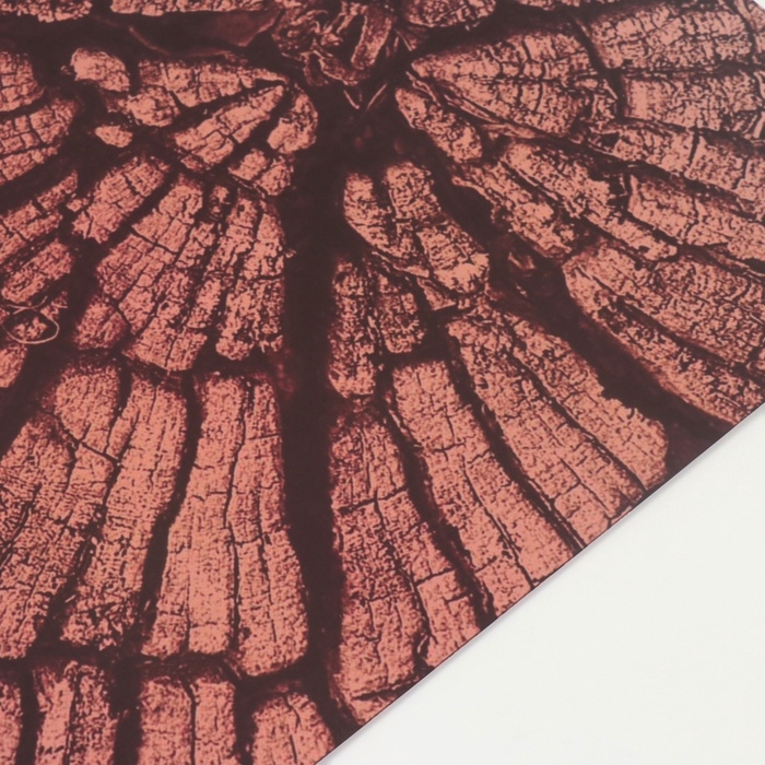 Фотофон двусторонний картон плотность 350 гр Фотофон двусторонний картон плотность 350 гр "Дерево" 50х50 см