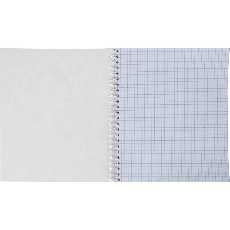 Бизнес-тетрадь Принты А5 96л, клетка, обл. мел. картон, спираль,Птицы