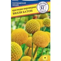Семена цветов Краспедия шаровидная &laquo;Билли Батон&raquo;, 10 шт.