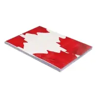 Сменный блок для тетрадей на кольцах А5, 120 листов, в клетку, Calligrata, блок офсет № 160 г/м&sup2;, белизна 100%