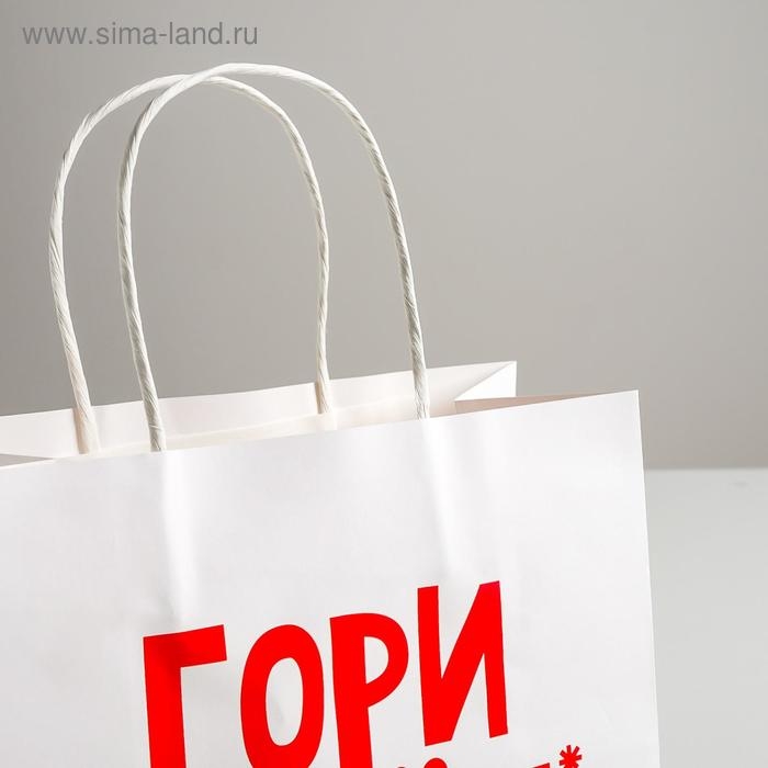 Пакет подарочный крафт, упаковка, «Гори огнем», 22 х 22 х 11 см Пакет подарочный крафт, упаковка, «Гори огнем», 22 х 22 х 11 см