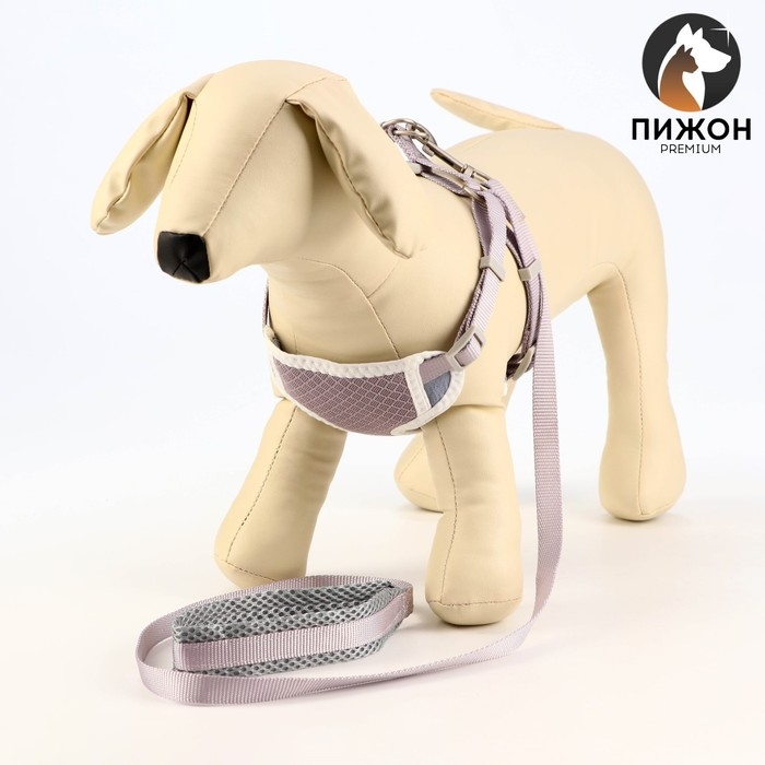 Комплект амуниции с мягкой шлейкой, M, поводок 120 х 1,5 см, ОШ 26-48 см, ОГ 26-48 см, серый Комплект амуниции с мягкой шлейкой, M, поводок 120 х 1,5 см, ОШ 26-48 см, ОГ 26-48 см, серый