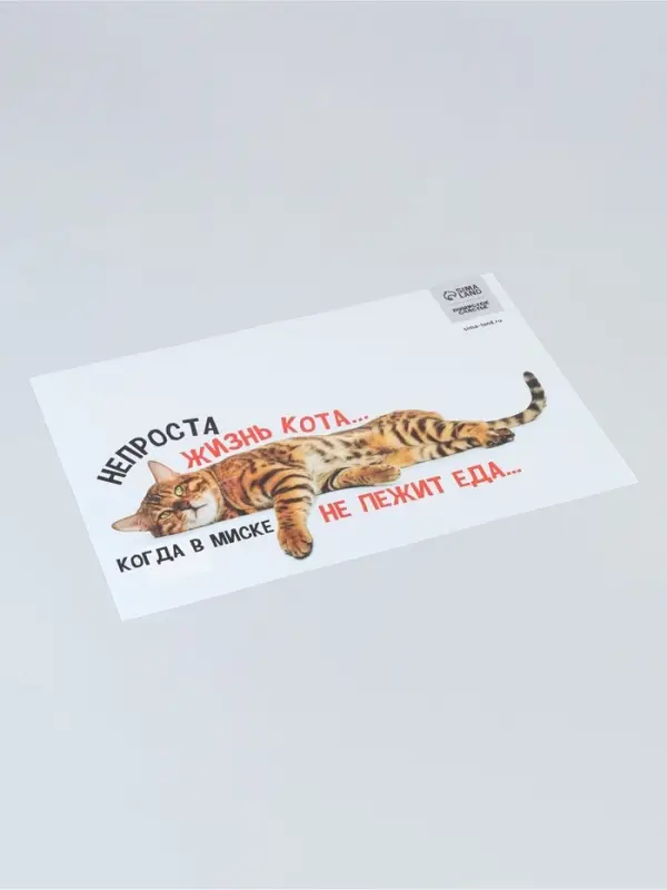 Коврик под миску &laquo;Не проста жизнь кота&raquo;, 43&times;28 см