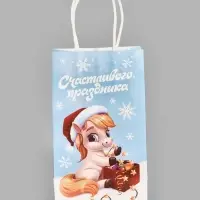 Пакет подарочный «Коняшка 2026», 12 × 21 × 9 см Пакет подарочный «Коняшка 2026», 12 × 21 × 9 см