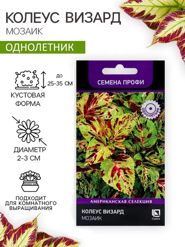 Семена цветов Колеус Визард Мозаик, 10шт Семена цветов Колеус Визард Мозаик, 10шт