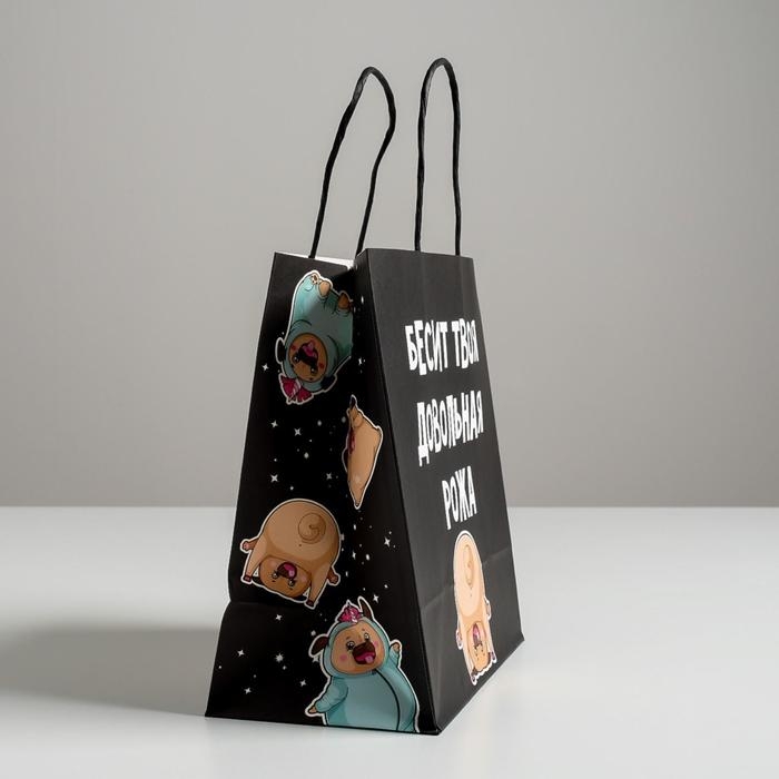 Пакет подарочный, упаковка, «Бесит», 22 х 22 х 11 см Пакет подарочный, упаковка, «Бесит», 22 х 22 х 11 см