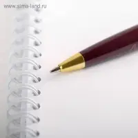 Ручка шариковая, синяя паста, 1 мм, пластик, автоматическая &laquo;С Днем учителя&raquo;