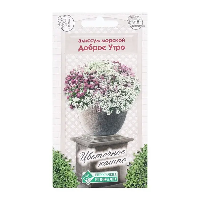 Семена Цветов Алиссум морской Доброе Утро, 0,06 г Семена Цветов Алиссум морской Доброе Утро, 0,06 г