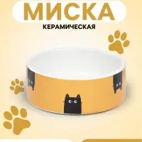 Миска &laquo;Удивление&raquo;, 350 мл, 12.5&times;4.5 cм, керамика, жёлтая