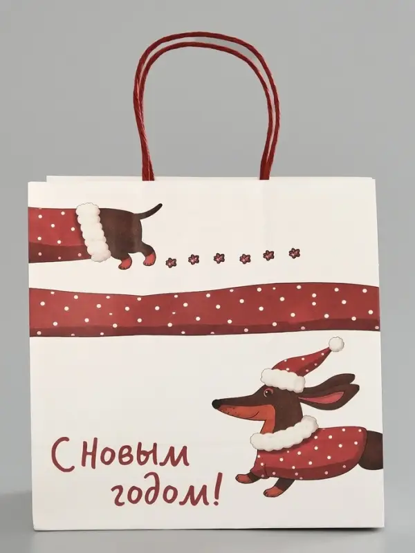 Пакет подарочный крафт &laquo;С Новым годом&raquo;, 22&times;22&times;11 см