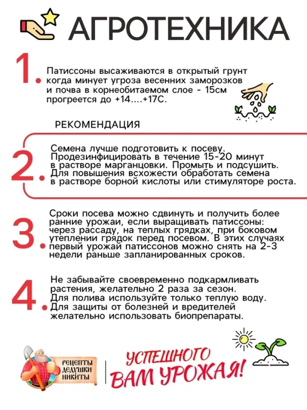 Семена Патиссон  Семена Патиссон "Копейка", 0,6 г
