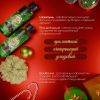 Новогодний подарочный набор косметики «Снежное царство», с ароматом хвои и корицы. Зеленая серия