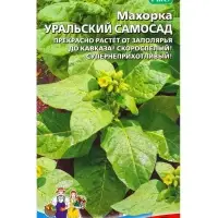 Семена Махорка "Уральский Самосад",  0,05 г