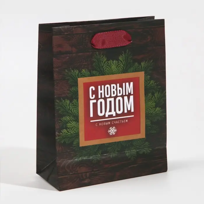 Пакет подарочный новогодний ламинированный «Настоящему мужчине», 12 х 15 х 5.5 см Пакет подарочный новогодний ламинированный «Настоящему мужчине», 12 х 15 х 5.5 см
