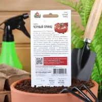 Семена Томат &laquo;Чёрный принц&raquo;, среднеспелый, детерминантный, среднерослый, 0.05 г, &laquo;Удачные семена&raquo;