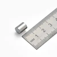 Замок-концевик магнитный, L=20 мм, вн.d=7 мм, (набор 3 шт.), цвет серебро