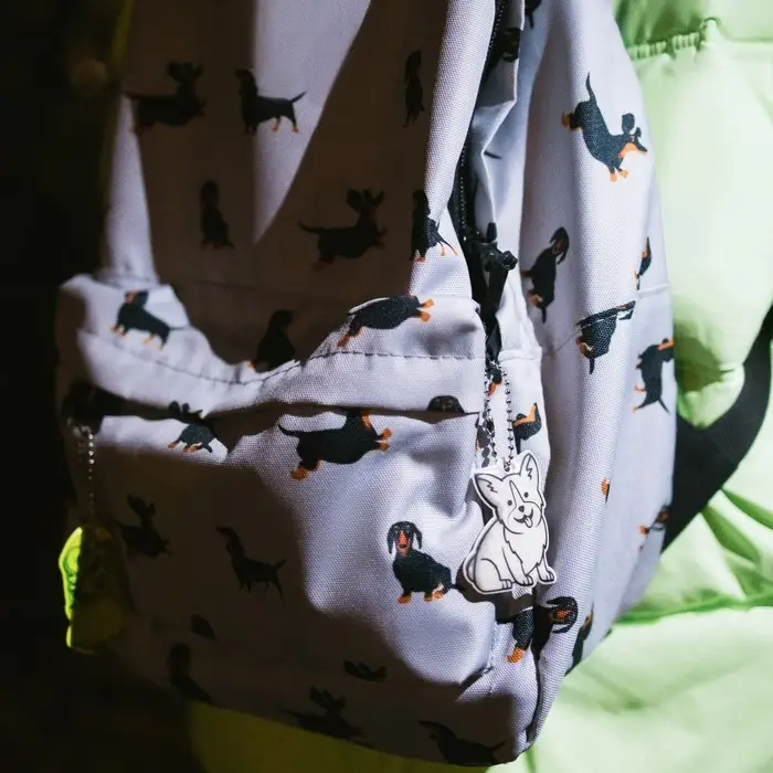 Светоотражающий элемент «Корги», двусторонний, 4.3×5.5 см, МИКС Светоотражающий элемент «Корги», двусторонний, 4.3×5.5 см, МИКС