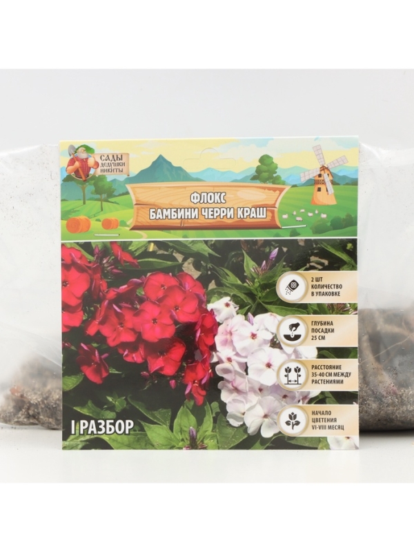 Флокс «Бамбини Черри Краш» корневище в пакете с торфогрунтом, р-р I, 2 шт.