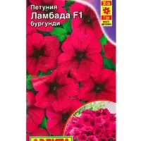 Семена цветов Петуния Ламбада F1 бургунди многоцветковая (драже) С. Hem Genetics, Ц/П,7 шт. 1094574 Семена цветов Петуния Ламбада F1 бургунди многоцветковая (драже) С. Hem Genetics, Ц/П,7 шт. 1094574