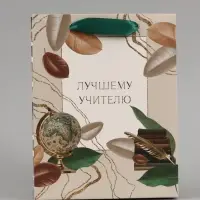 Пакет подарочный ламинированный, упаковка, &laquo;Лучшему учителю&raquo;, MS 18&times;23&times;10 см