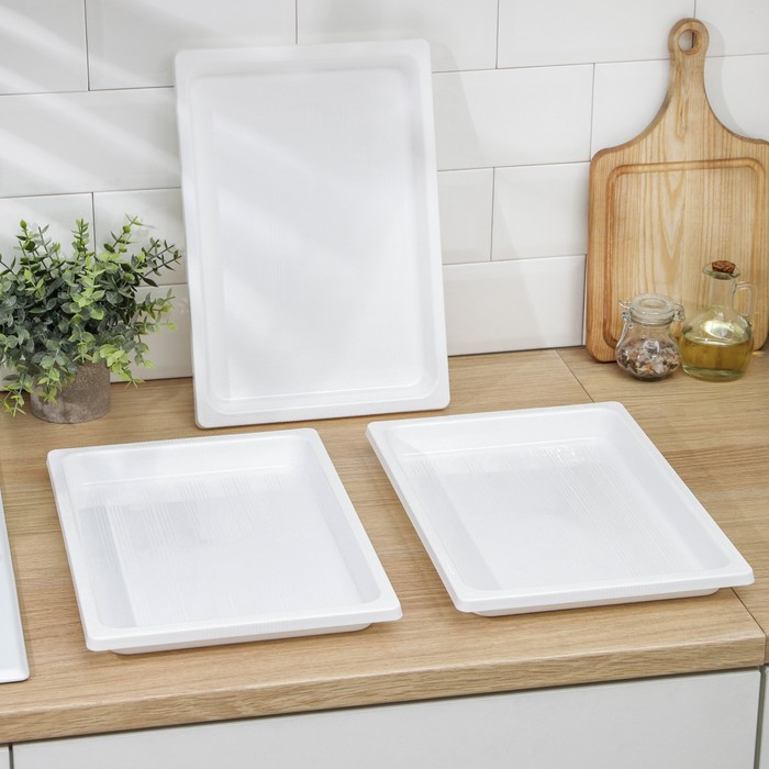 Набор подносов для заморозки пельменей, 36×25×3 см, 3 шт, цвет МИКС