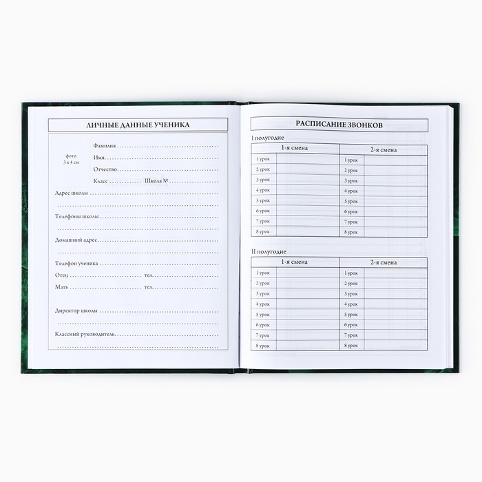 Дневник школьный для 1-11 класса, в твердой обложке, 40 л. «Изумрудный мрамор» Дневник школьный для 1-11 класса, в твердой обложке, 40 л. «Изумрудный мрамор»